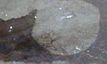 ALRG COİL 83 BETON ZEMİN YAĞ SÖKÜCÜ